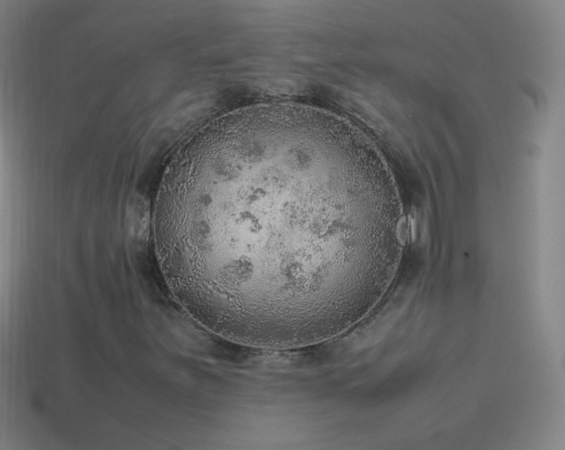 X0000115581251200911101140