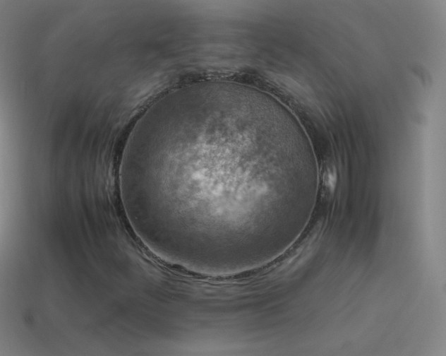 X0000115581252200911101140