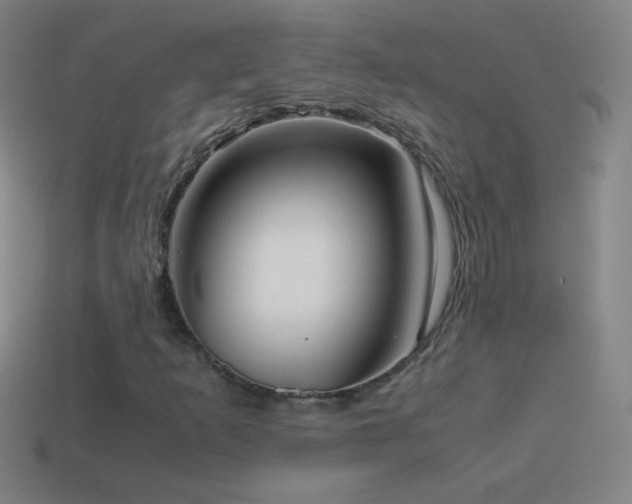 X0000115581253200911101140