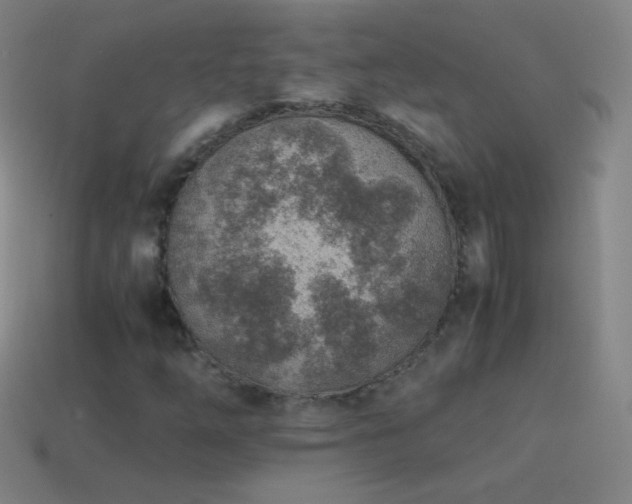 X0000115581254200911101140