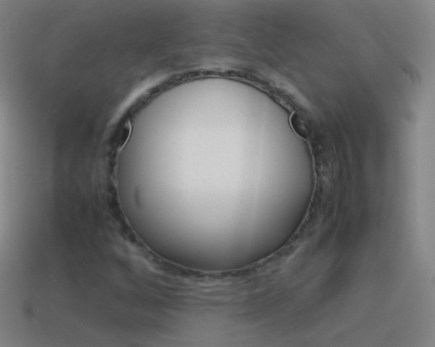 X0000115581256200911101140