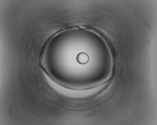 X0000115581257200911101140