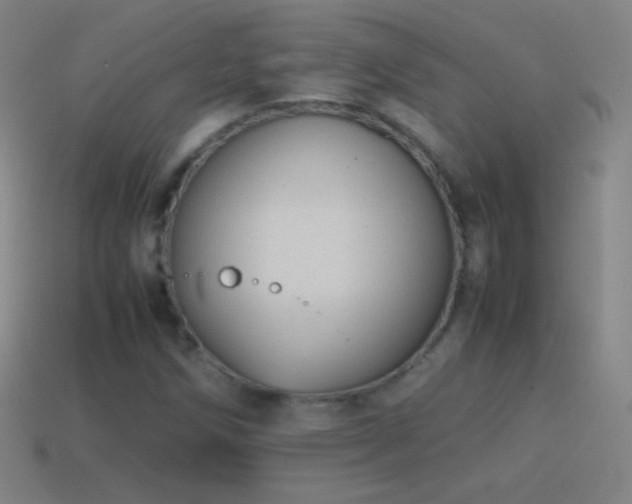 X0000115581258200911101140