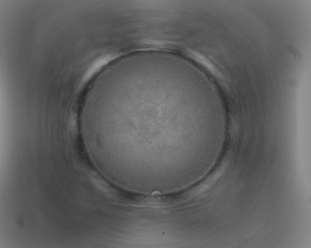 X0000115581259200911101140