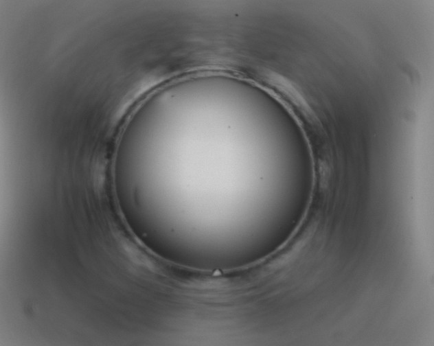 X0000115581260200911101140