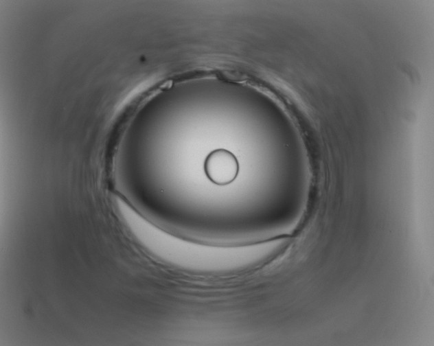 X0000115581261200911101140