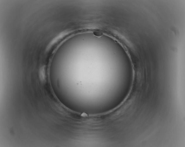 X0000115581262200911101140