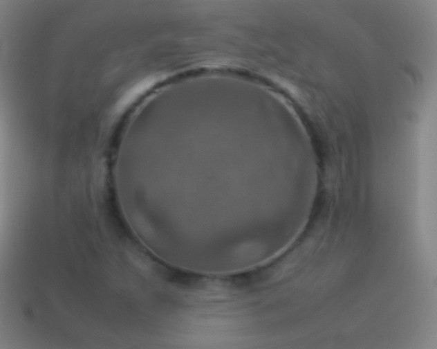 X0000115581263200911101140