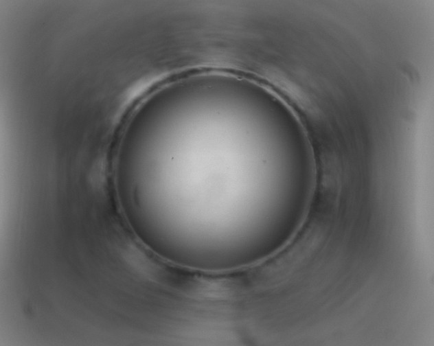 X0000115581264200911101140