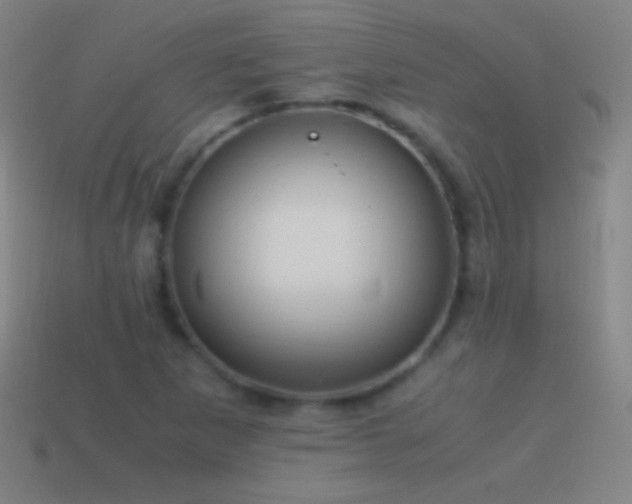 X0000115581265200911101140