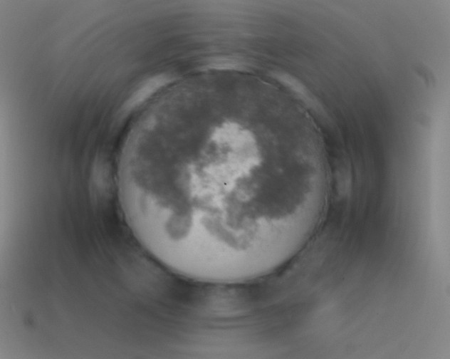 X0000115581266200911101140