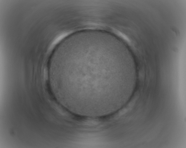 X0000115581267200911101140