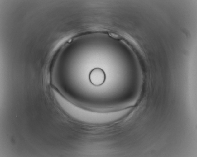 X0000115581269200911101140