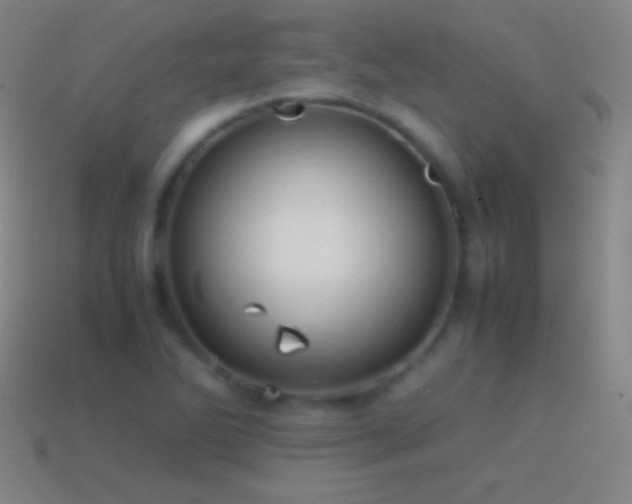 X0000115581270200911101140