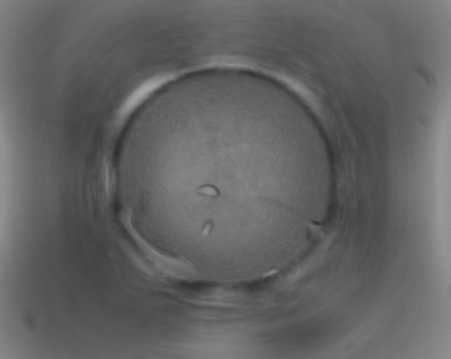 X0000115581271200911101140