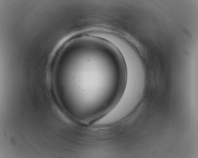 X0000115581272200911101140