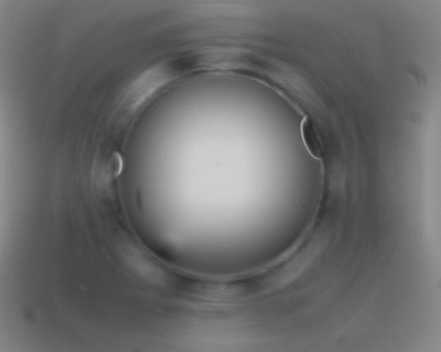 X0000115581273200911101140