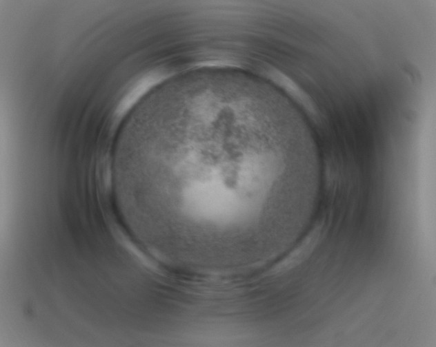 X0000115581274200911101140