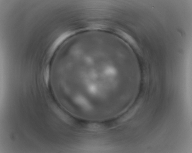 X0000115581275200911101140