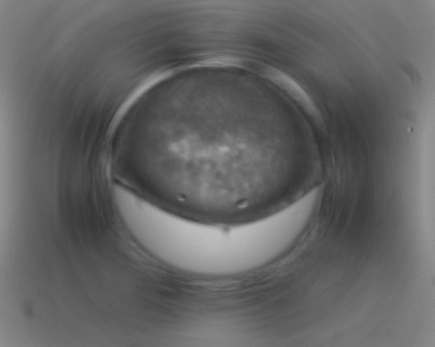 X0000115581276200911101140