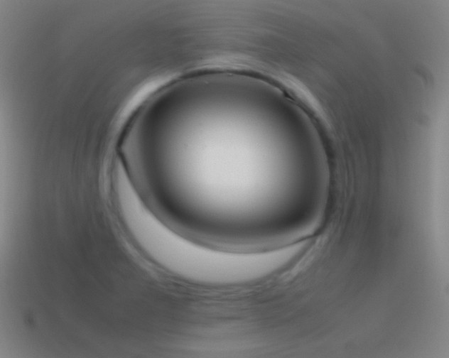 X0000115581277200911101140