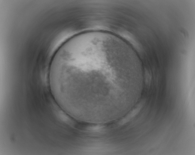 X0000115581278200911101140