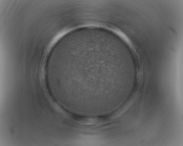 X0000115581279200911101140