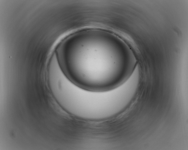 X0000115581280200911101140