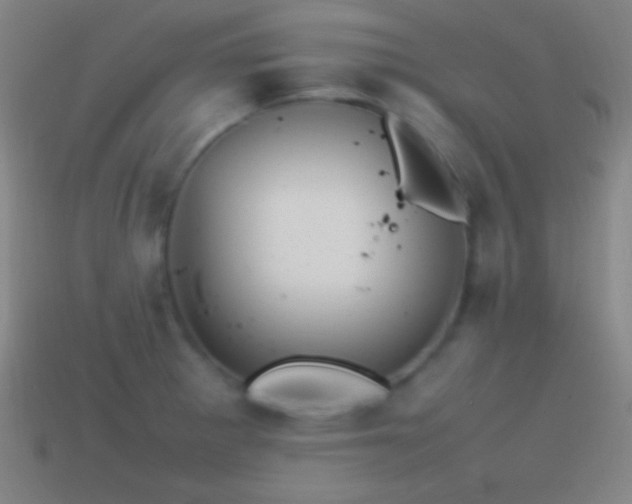 X0000115581281200911101140