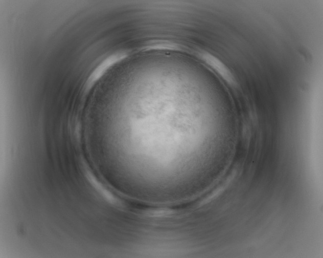 X0000115581282200911101140