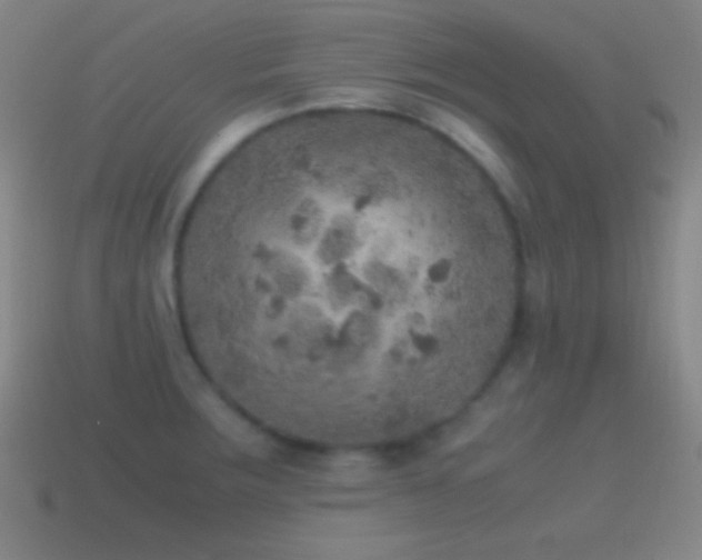 X0000115581283200911101140