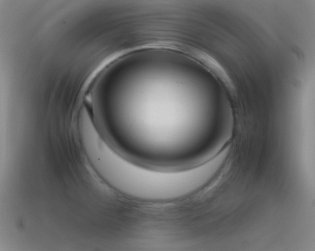 X0000115581284200911101140