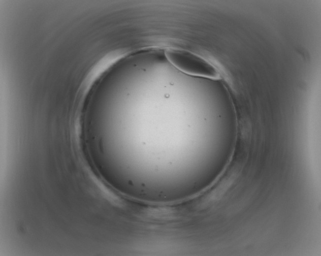 X0000115581285200911101140