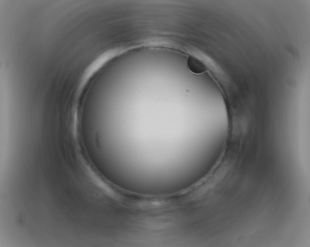 X0000115581286200911101140