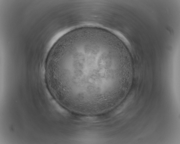 X0000115581287200911101140