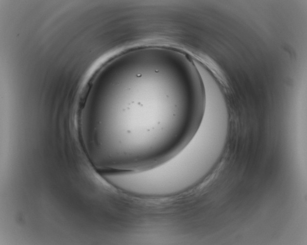 X0000115581288200911101140