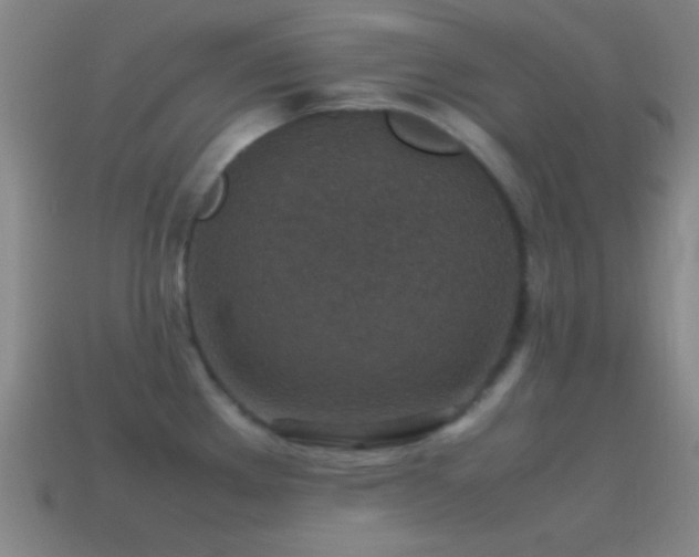 X0000115581289200911101140