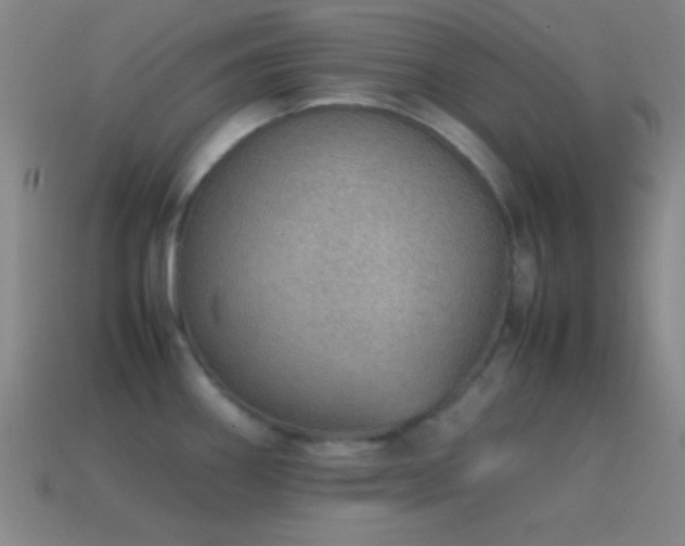 X0000115581290200911101140