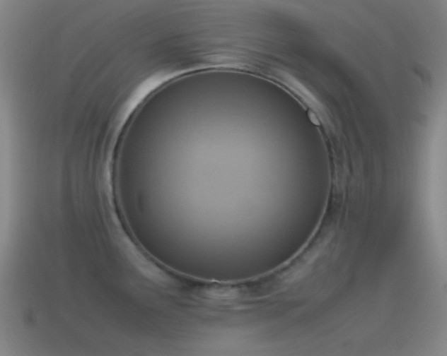 X0000115581291200911101140