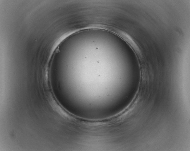 X0000115581292200911101140