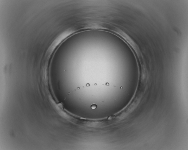 X0000115581293200911101140