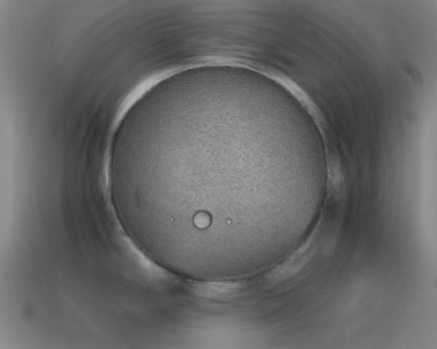 X0000115581294200911101140