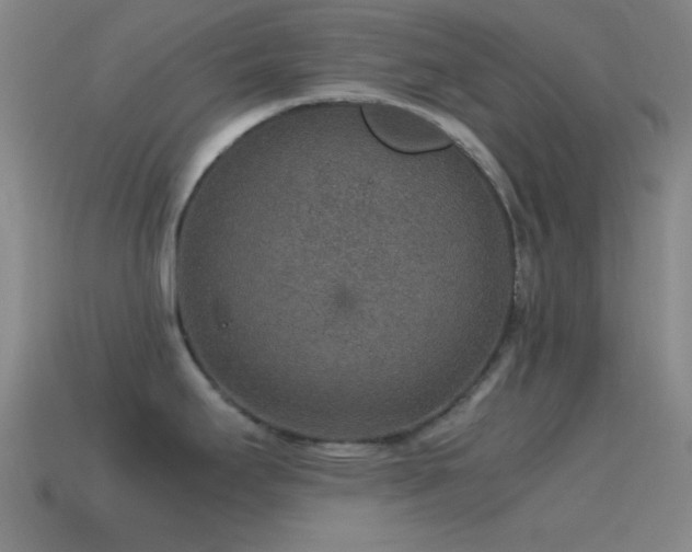 X0000115581295200911101140