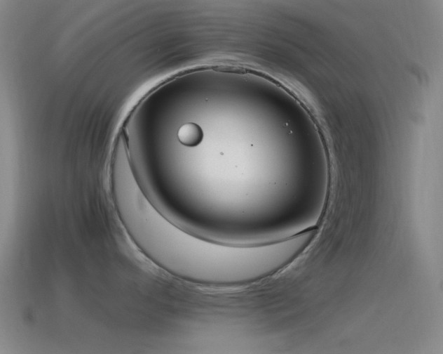 X0000115581296200911101140