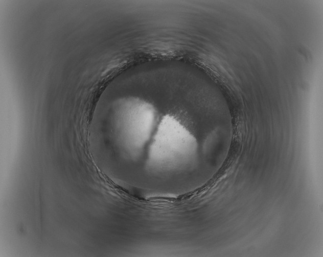 X0000115581297200911101139