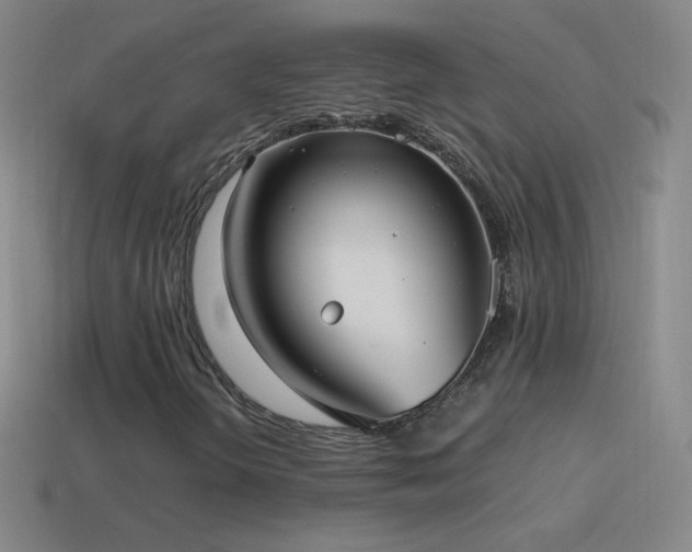 X0000115581298200911101139