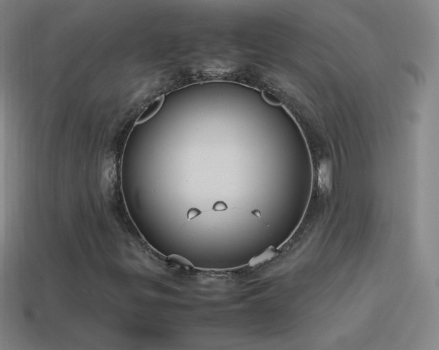 X0000115581299200911101139