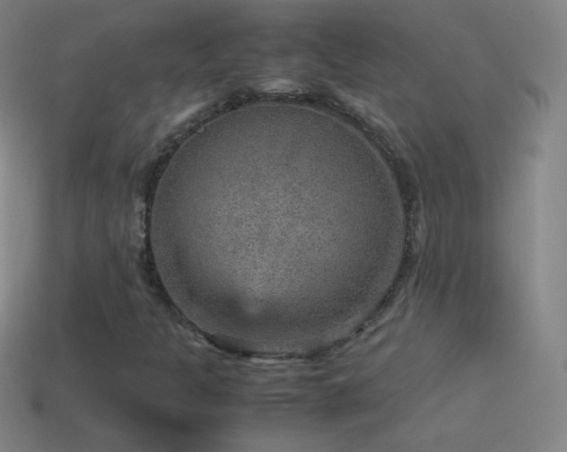 X0000115581301200911101139