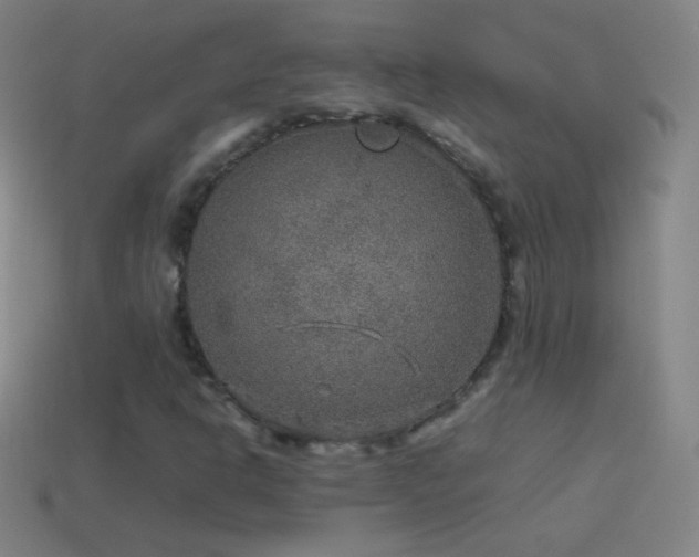 X0000115581302200911101139