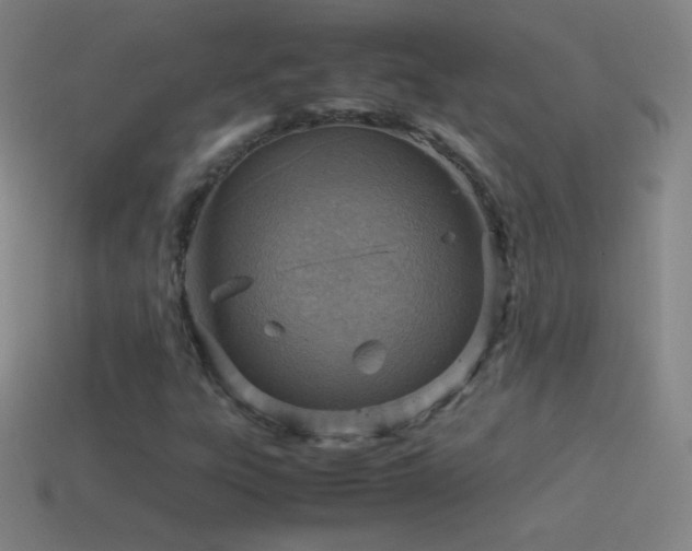 X0000115581303200911101139